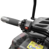 (obrázek pro) Akumulátorová nákladní čtyřkolka - HECHT CARGO