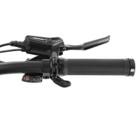 (obrázek pro) Elektrokolo LEONIS, šedé, dojezd až 120 km