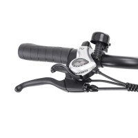 (obrázek pro) Elektrokolo RUNNIS, šedivé, dojezd až 85 km