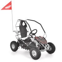 (obrázek pro) HECHT 54899 SILVER - akumulátorová buggy