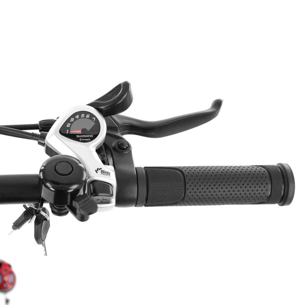 (obrázek pro) Elektrokolo COMPOS XL, šedé, dojezd 105 km, max. rychlost 25 km/h